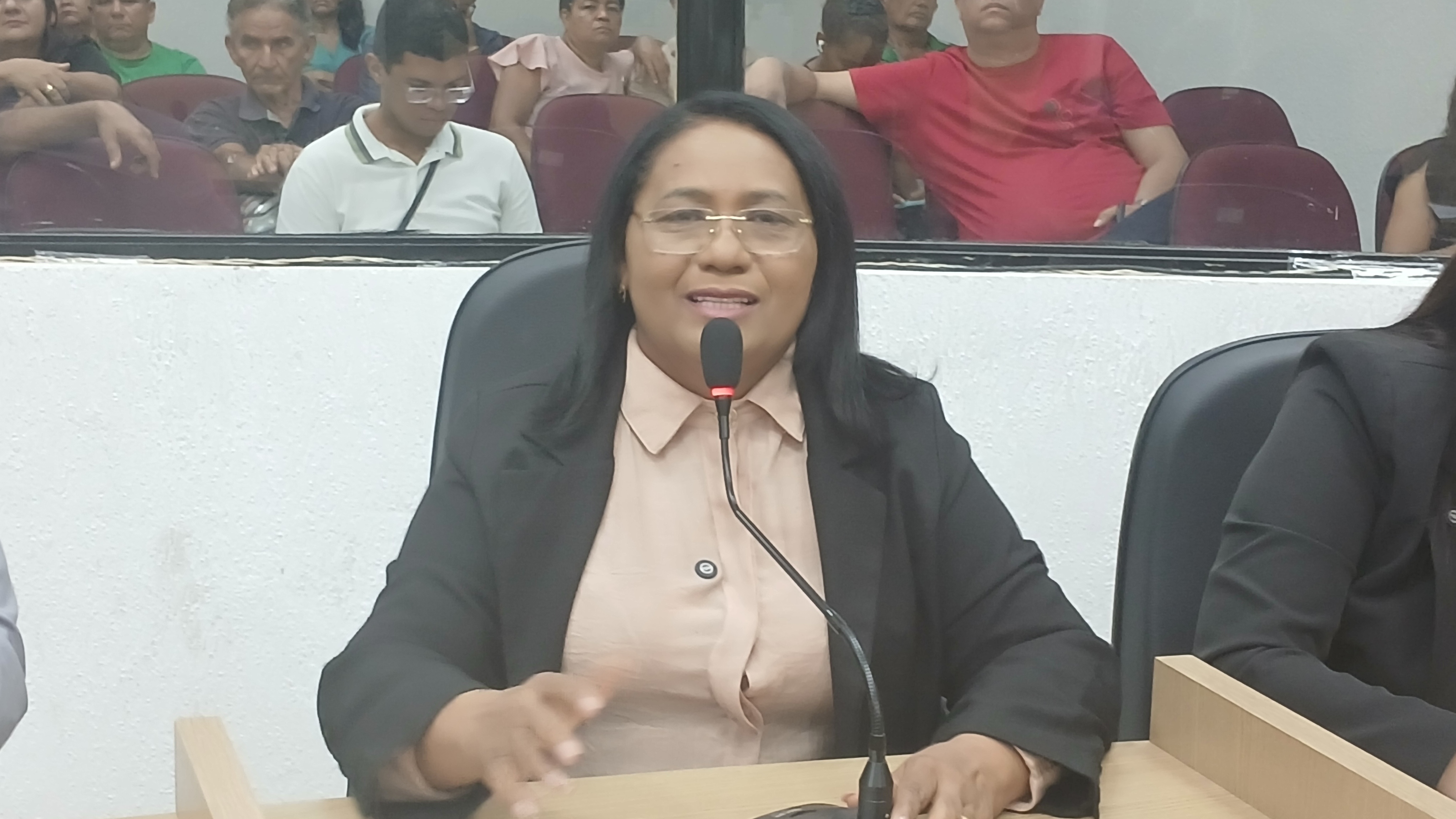 Câmara Municipal de Timon aprova atualização do Refis 2025 e amplia condições para regularizaçã...